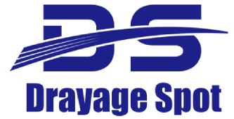 DS Logo